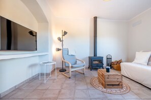 Télévision, cheminée, jeux vidéo, lecteur de DVD