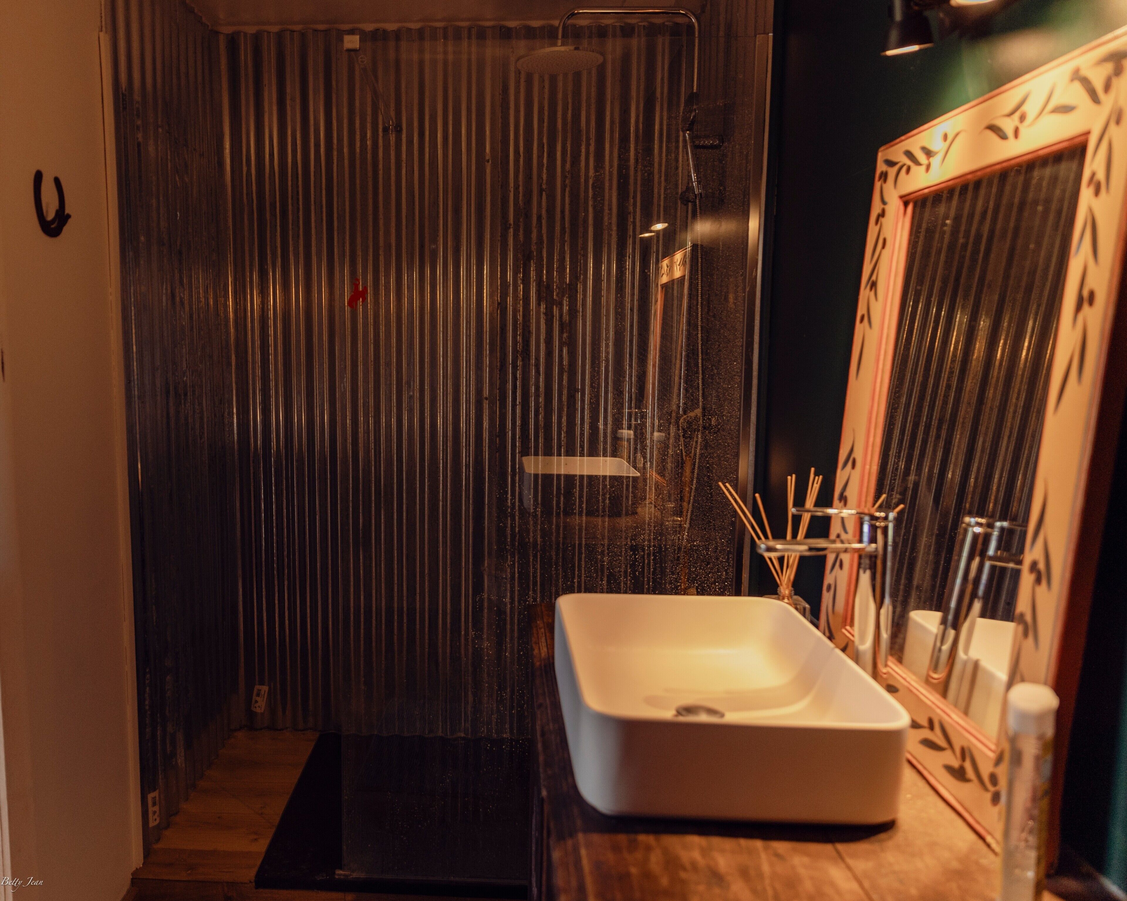 Ducha, secador de pelo, toallas