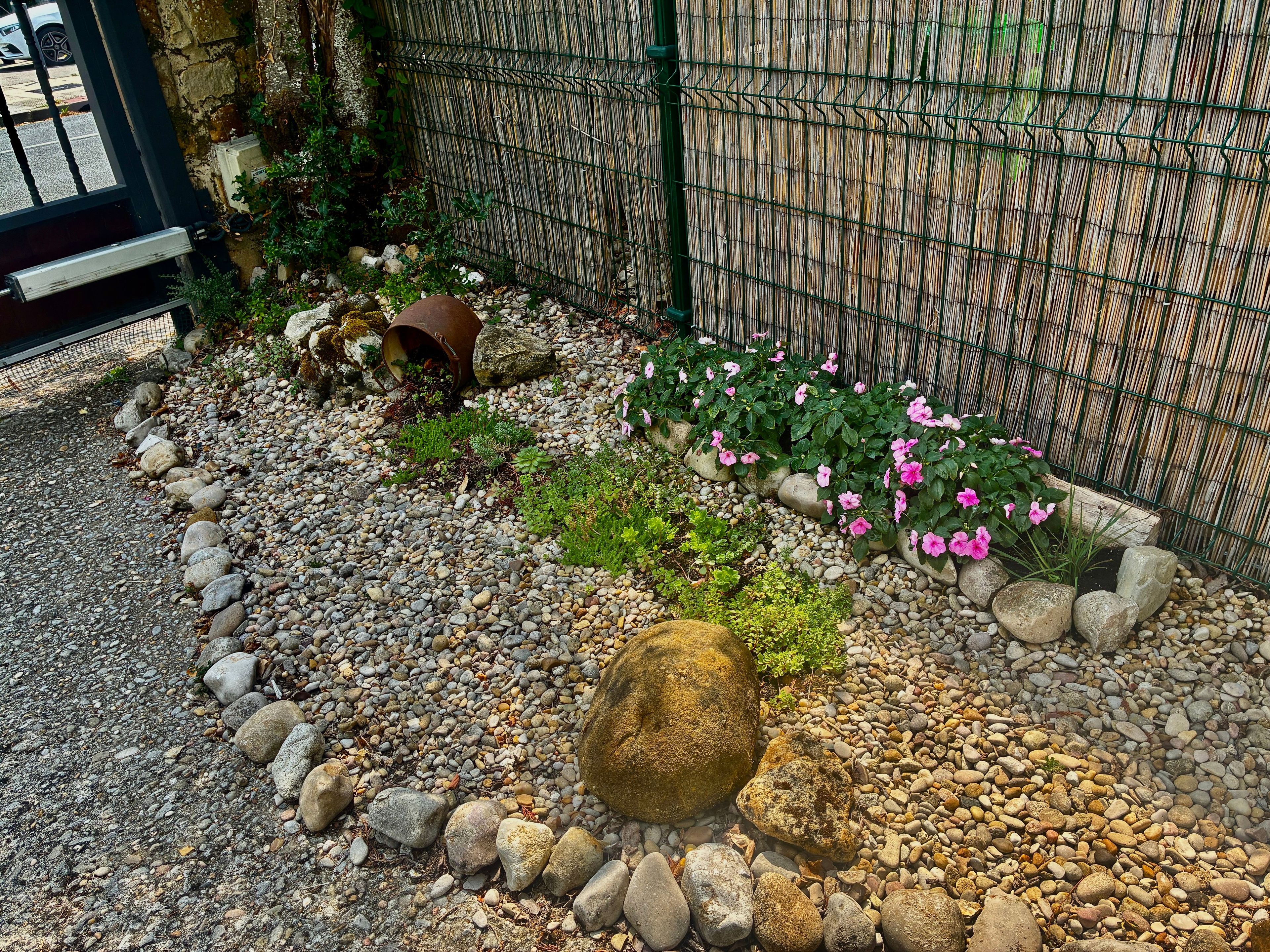 A garden with a gravel path, rocks, and pink flowers.