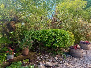 Un jardí amb una varietat de plantes, incloent un arbust gran i plantes en testos.