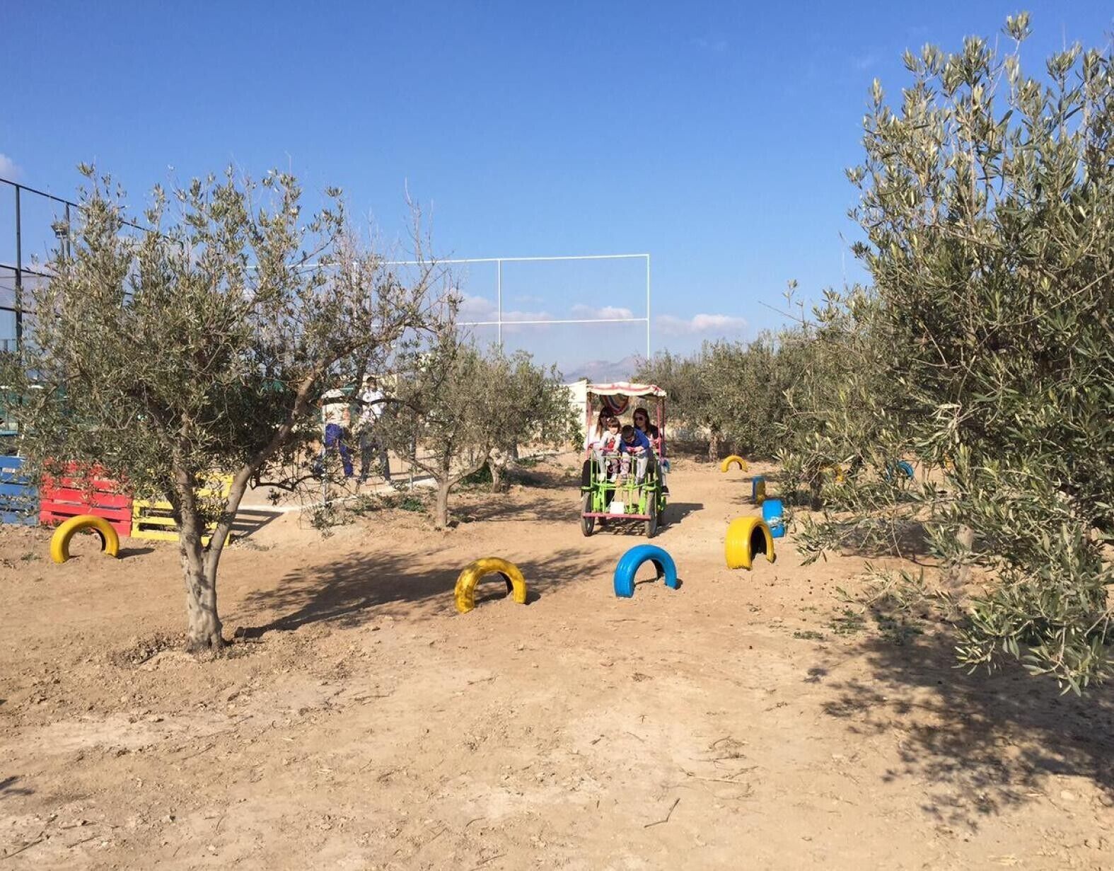 Un sendero de tierra con un vehículo pequeño y personas, rodeado de olivos.