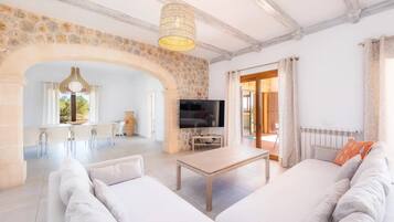 TV, video games, table tennis