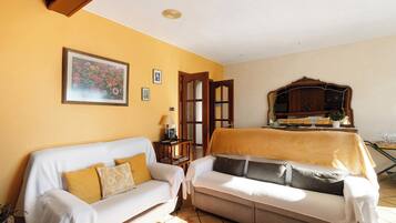 Televisie, een open haard en een dvd-speler