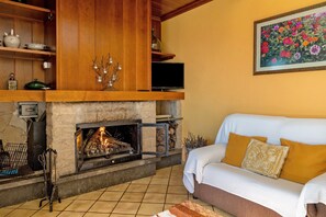 TV, fireplace, DVD player