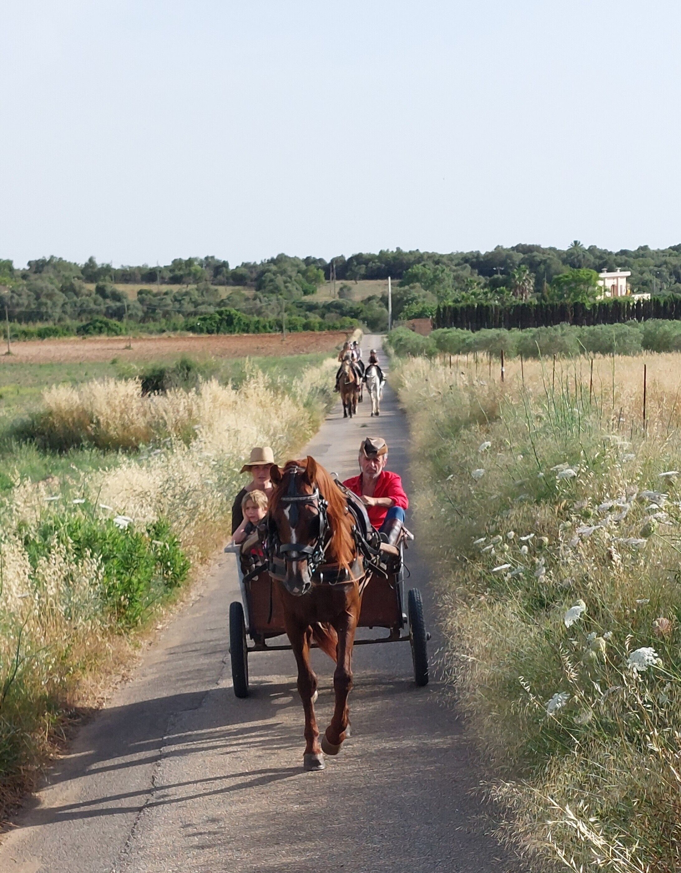 Un carruaje tirado por caballos en un camino rural, flanqueado por vegetación.
