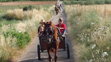 Un carruaje tirado por caballos en un camino rural, flanqueado por vegetación.