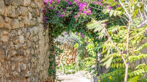 A stone pathway leading through a garden with flowering plants and a rustic stone wall. - Country House 'Ses Estaques' with Mountain View, Shared Pool and Wi-Fi (Illes Balears)