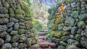 Een pad van stenen, begrensd door met mos begroeide muren, dat door een natuurlijke omgeving loopt.