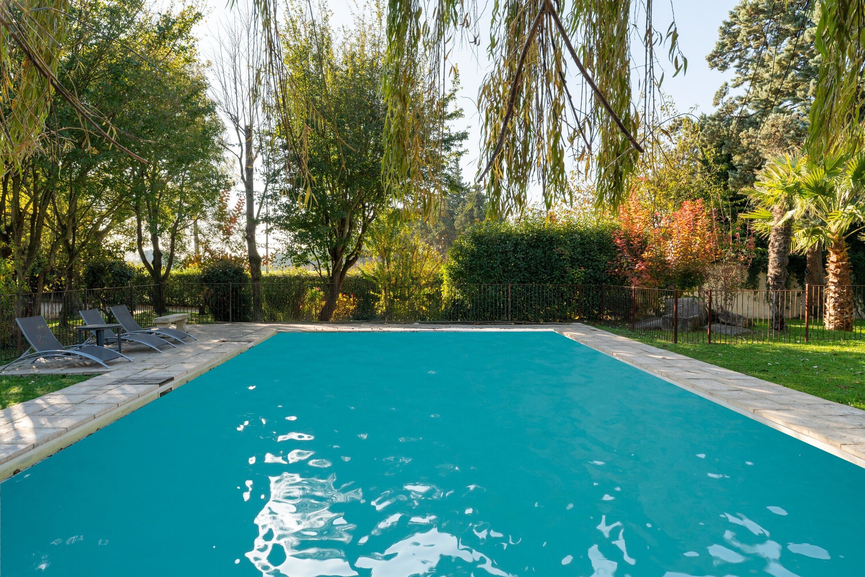 Een rechthoekig zwembad met helder water, omgeven door een stenen terras en beschaduwd door bomen.
