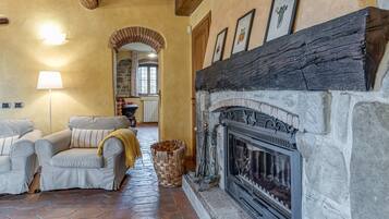 Televisión, chimenea y tenis de mesa