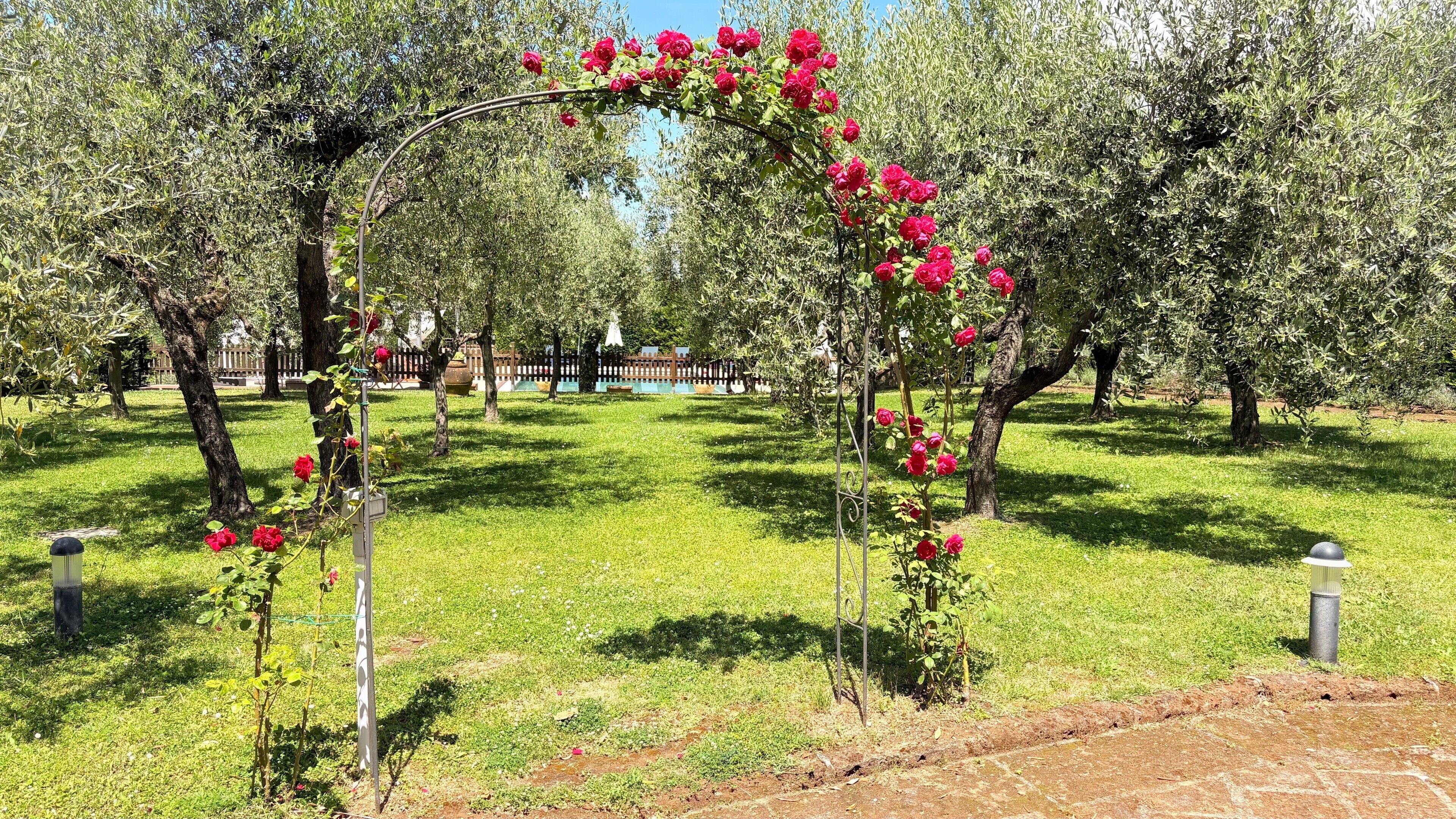 Un jardín con un arco de metal, árboles y césped.