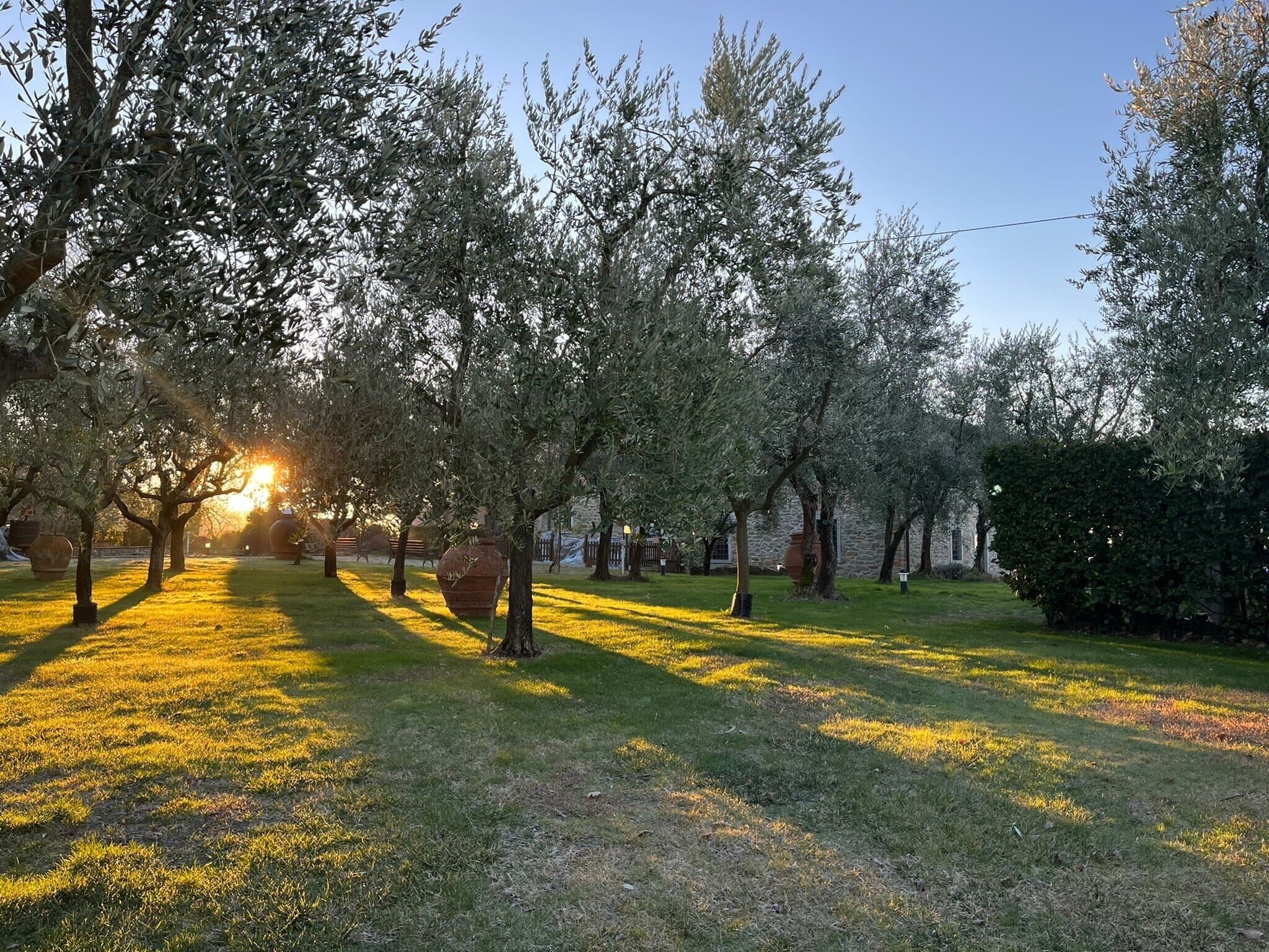 A park with trees, grass, and a stone building in the background.