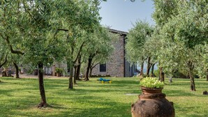 An outdoor area with olive trees, a stone building, and a large terracotta pot. - Apartment 'Il Belvedere' with Shared Pool, Private Terrace and Wi-Fi (Pian di Scò)