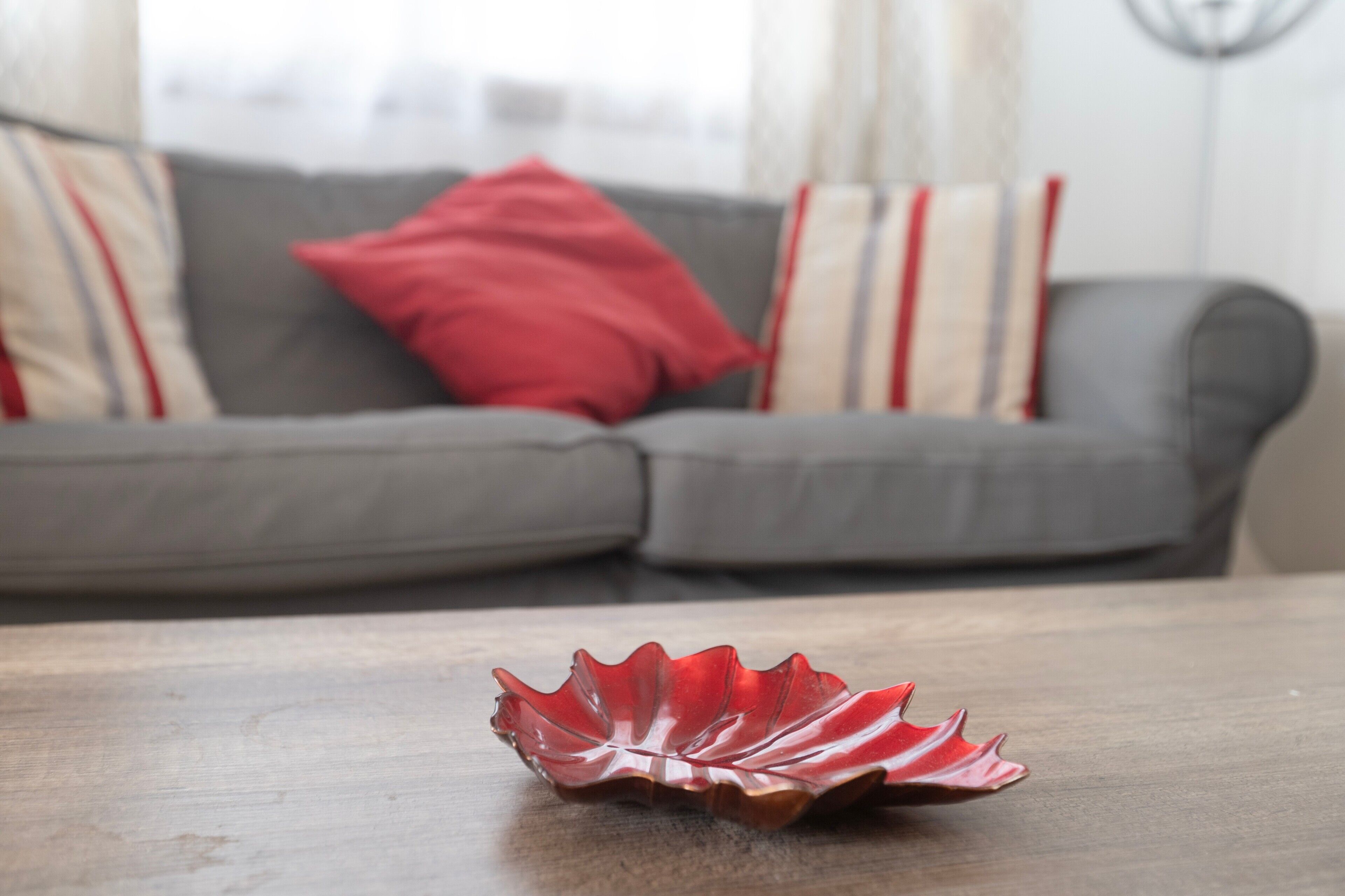 A modern living room with a grey sofa, red and striped cushions, and a wooden coffee table.