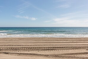Playa en los alrededores 