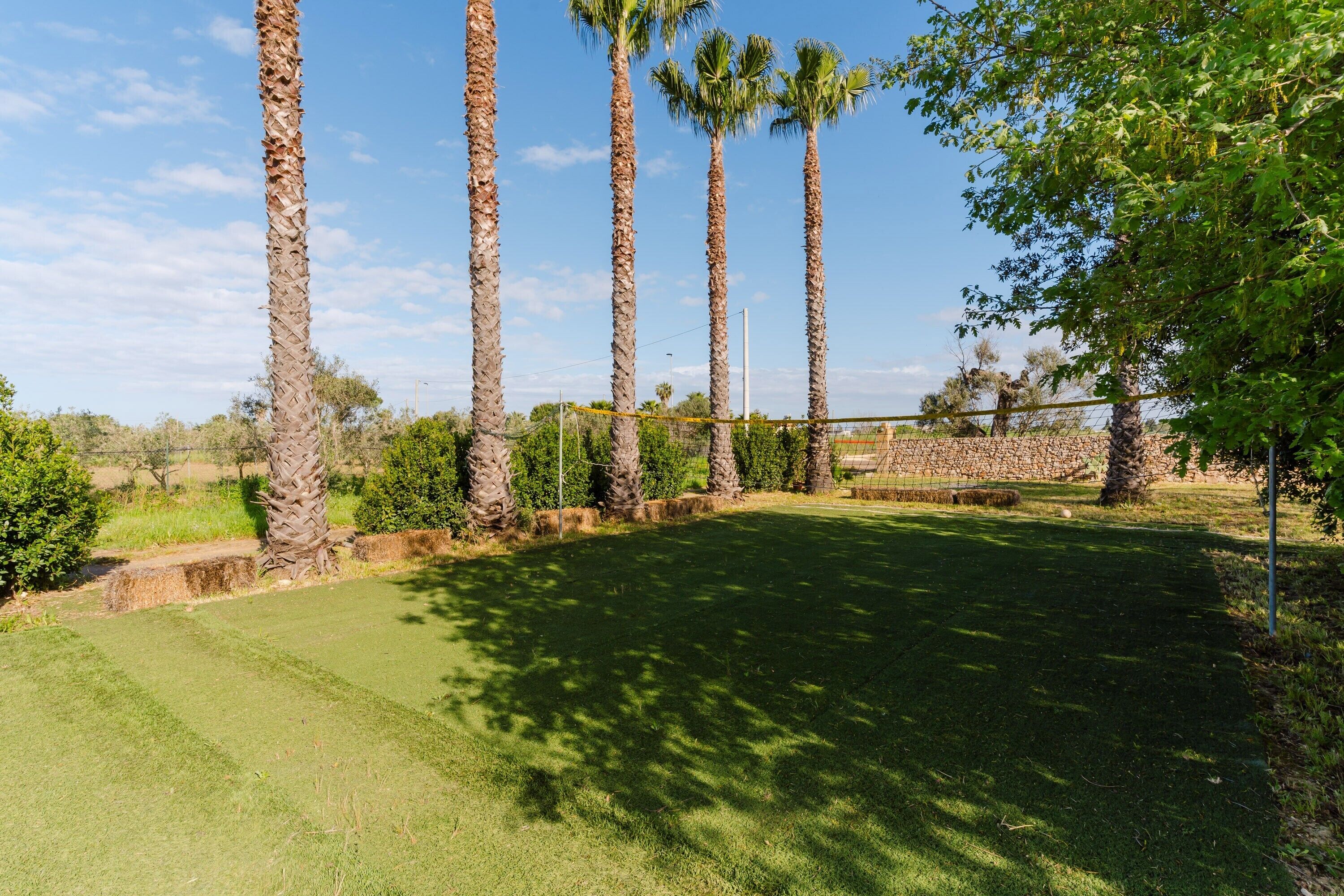 A well-maintained grassy area with tall palm trees and a stone wall in the background.
