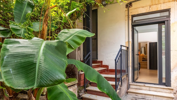 Un escalier menant à une pièce offrant une vue sur l’extérieur, et entourée de grandes plantes vertes.