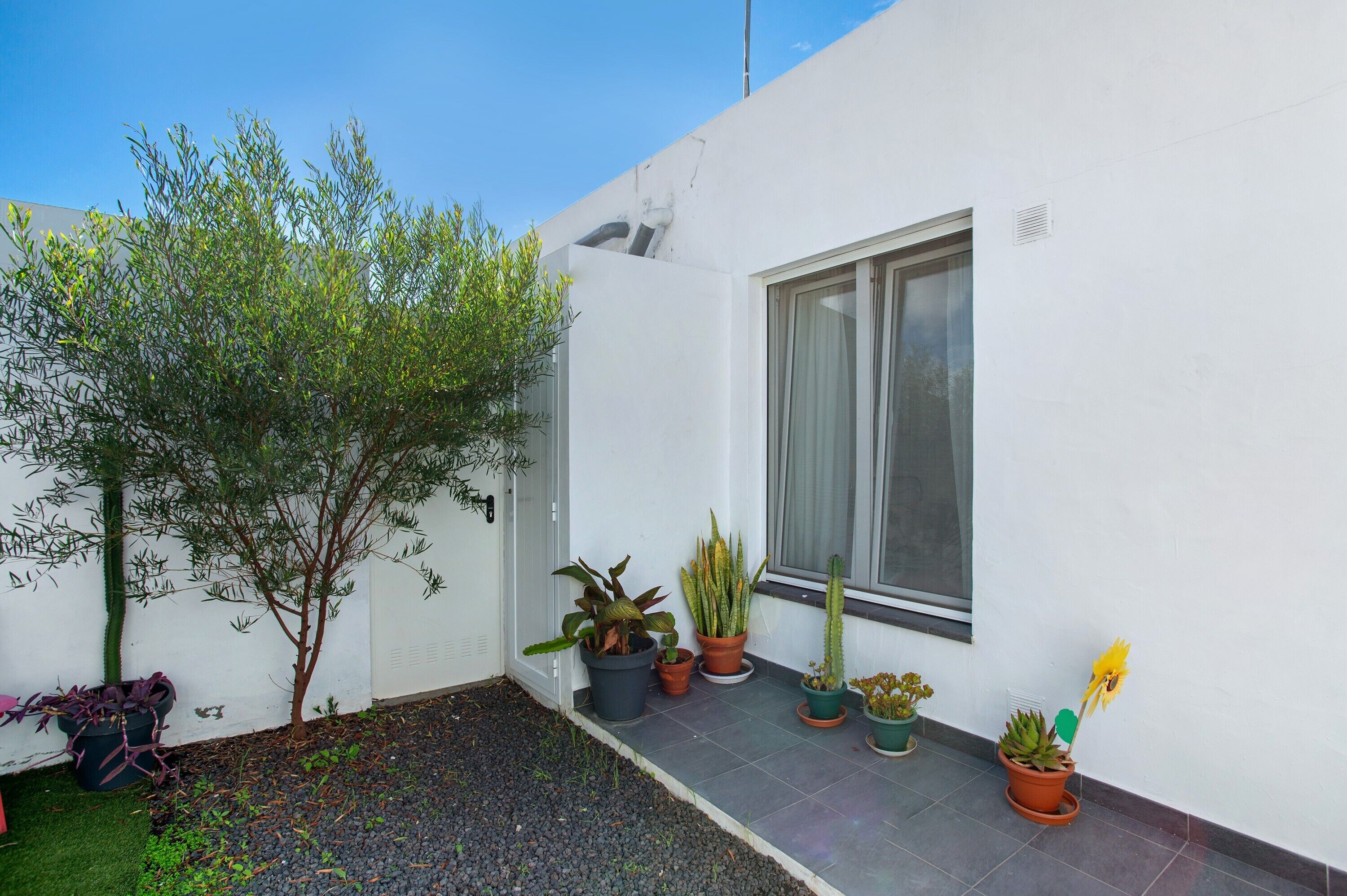 Un bâtiment blanc avec une fenêtre, des plantes en pot et un petit arbre.