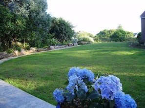 A well-maintained lawn with a stone border and a variety of plants.
