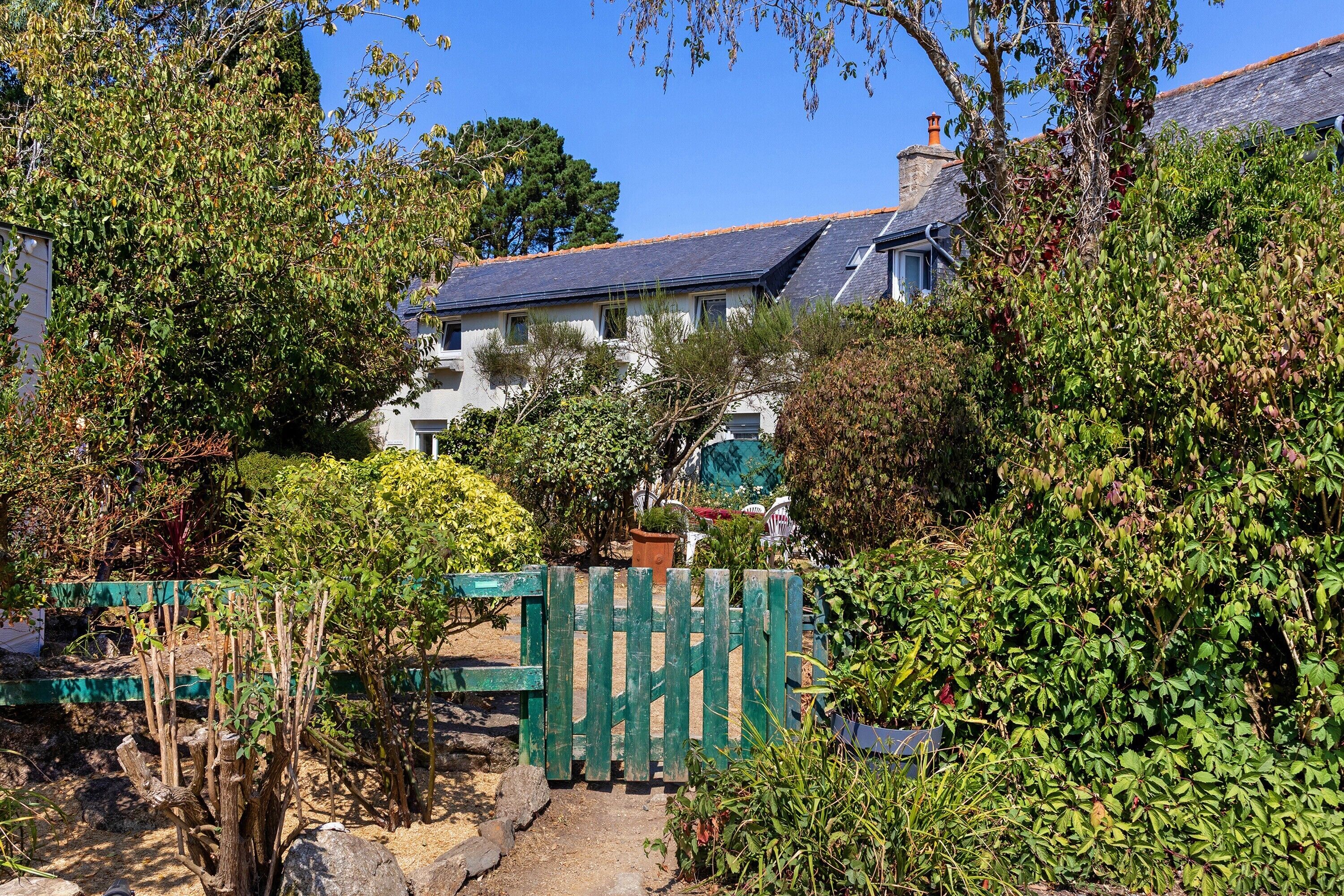 A house with a white exterior, surrounded by dense greenery and a wooden gate.