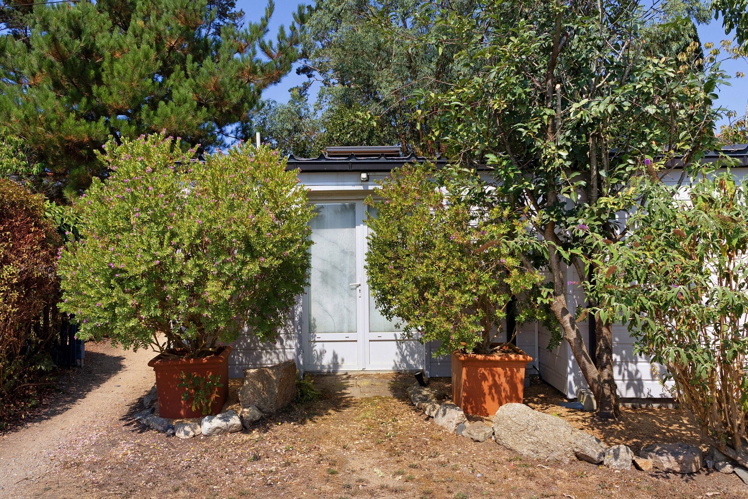 Un jardin avec deux plantes en pot et un bâtiment blanc en arrière-plan.