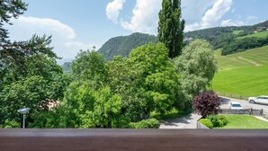 Vista de uma paisagem verdejante, com uma estrada, uma árvore alta e uma colina ao longe.
