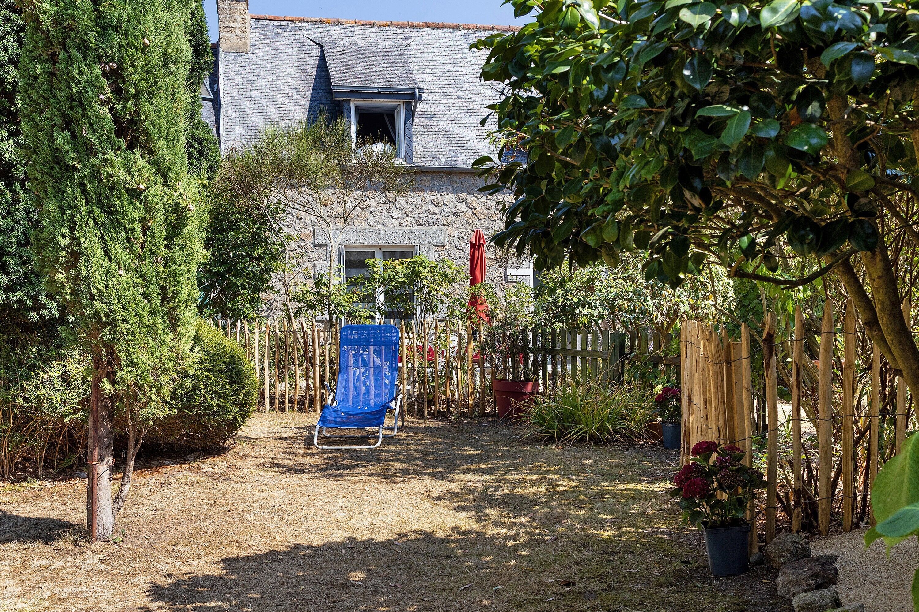 A garden with a variety of plants and a blue chair.