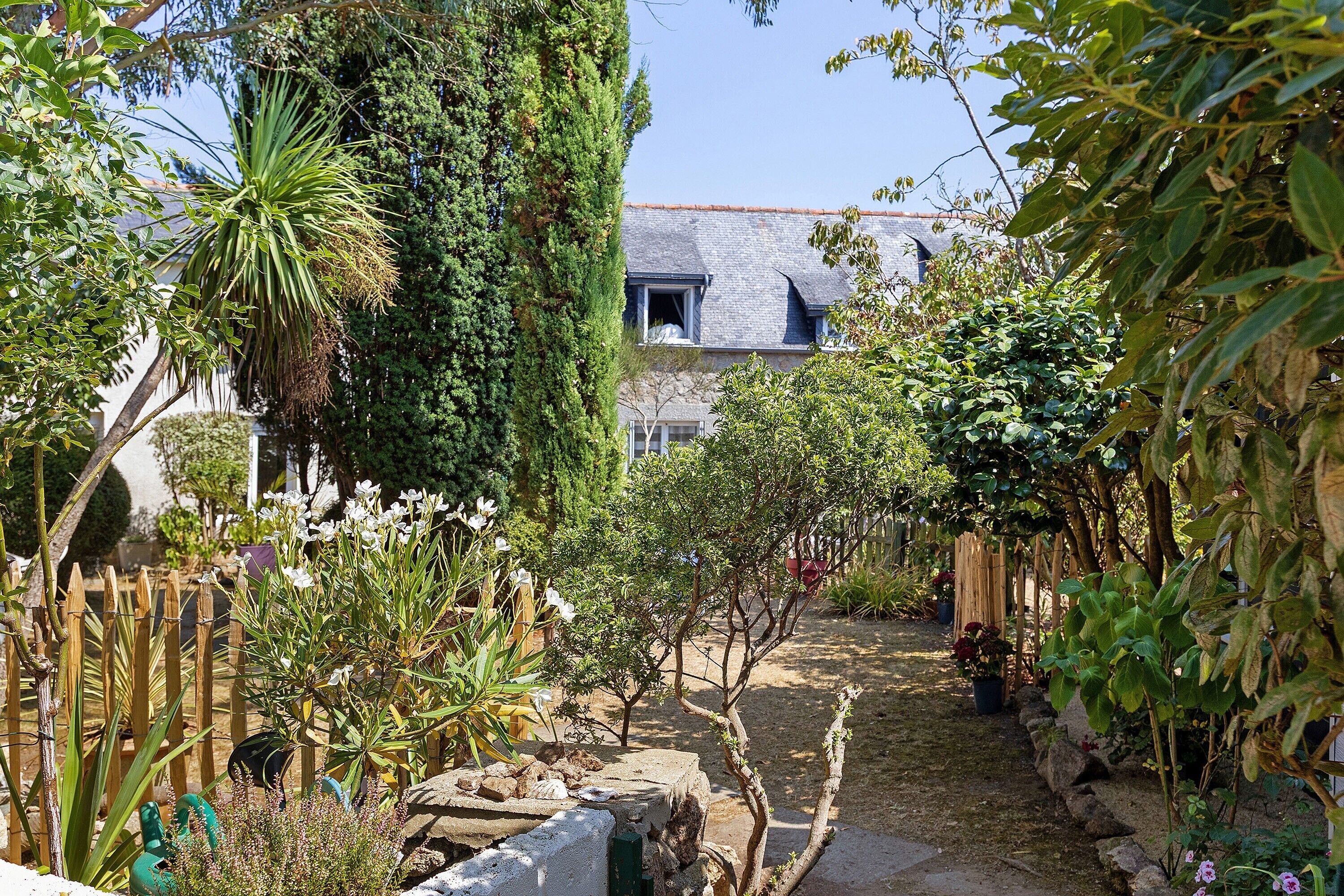 A garden pathway leading to a house with a stone wall and various plants.