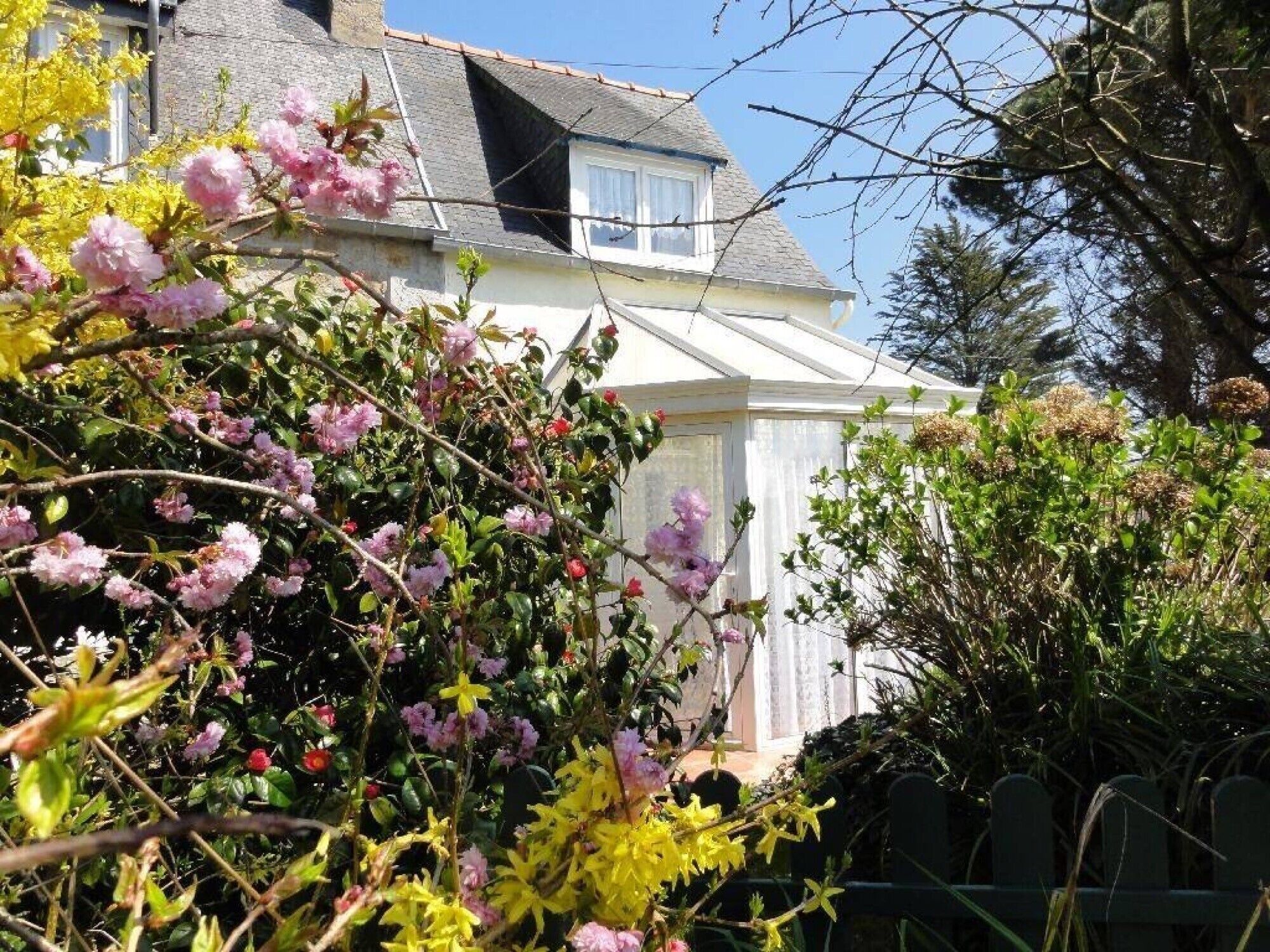 A house with a white exterior, a visible window, and a garden with flowering plants.