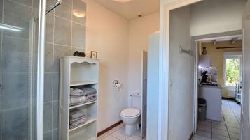 Shower, hair dryer, towels