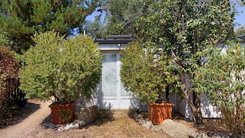 Ein Garten mit zwei Blumentöpfen und einem weißen Gebäude im Hintergrund.