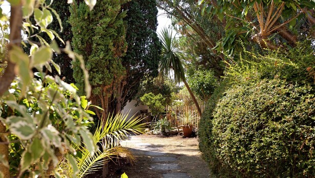 Un sendero en un jardín rodeado de abundante follaje y diversas plantas.
