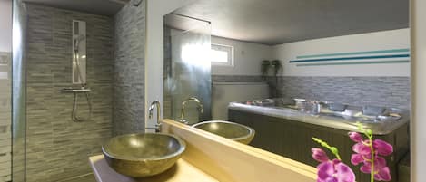 Shower, hair dryer, towels
