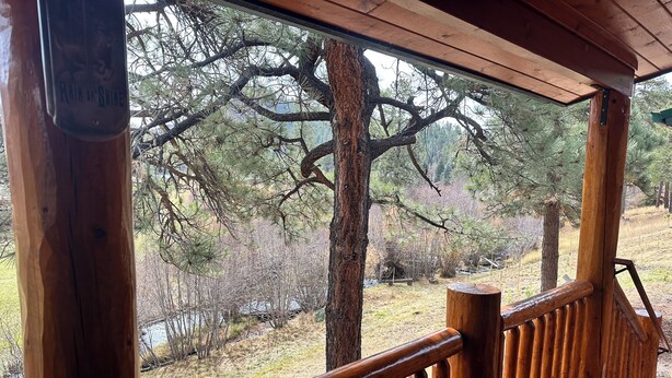 A wooden deck with a railing overlooking a forested area.