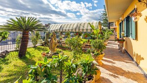 A courtyard with a palm tree, potted plants, a covered area, and a tiled pathway. - Villa 'Villetta Mare E Monti' with Sea View, Wi-Fi and Air Conditioning (Mascali)