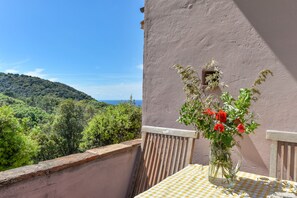 Outdoor dining - Farmhouse 'Amandolo - Capraia' with Sea View, Wi-Fi and Air Conditioning (Cavo)