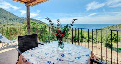 Farmhouse 'Amandolo - Capraia' with Sea View, Wi-Fi and Air Conditioning