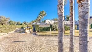 A cobblestone pathway, palm trees, and a building with a sloped roof.