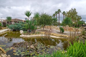 A pond with lily pads, palm trees, and a stone wall.