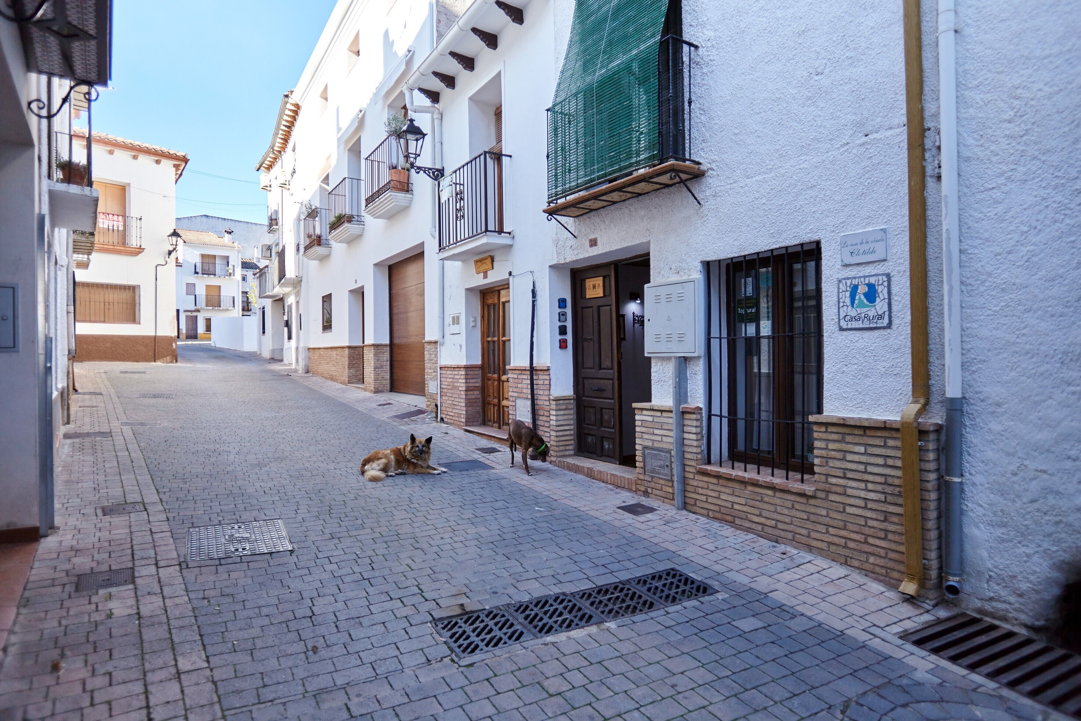 Jardines del alojamiento