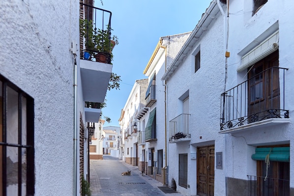A narrow street with white buildings, balconies, and a dog lying on the ground.