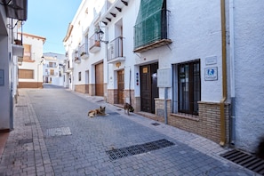 A narrow street with white buildings, a dog lying on the ground, and a dog walking. - Room 'El Yelmo' with Mountain View (Hornos)