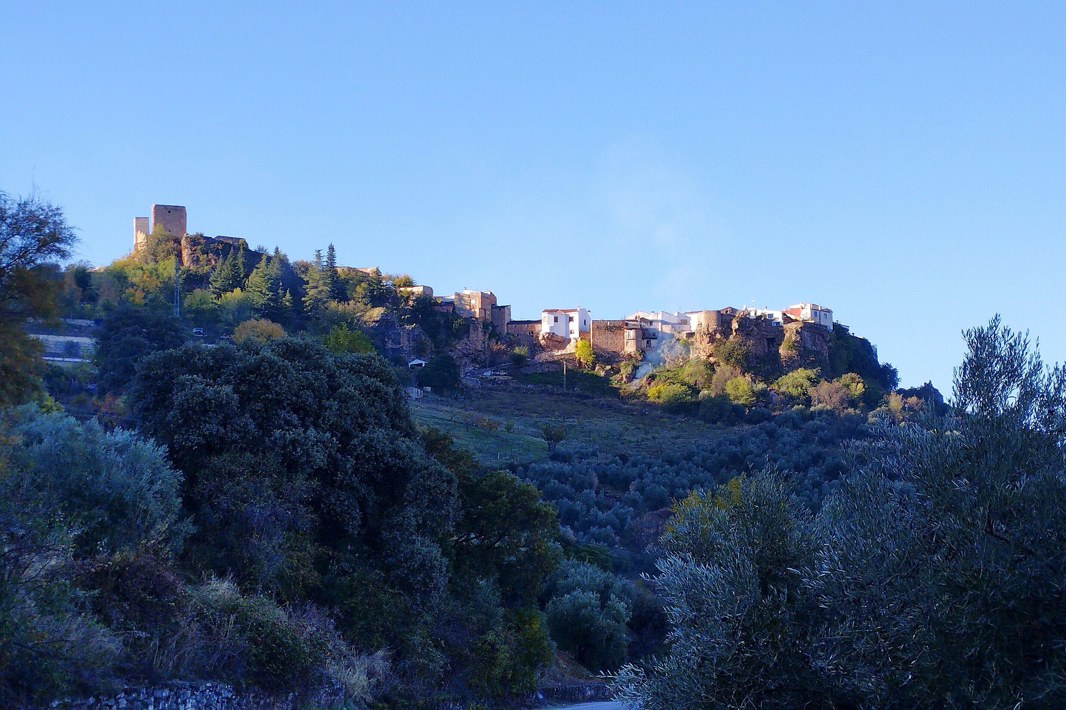 Une ville historique perchée sur une colline, avec des bâtiments, dont un imposant beffroi, le tout entouré d’une végétation luxuriante.