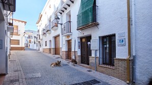 Una calle estrecha con edificios blancos, un perro tumbado en el suelo y otro caminando.