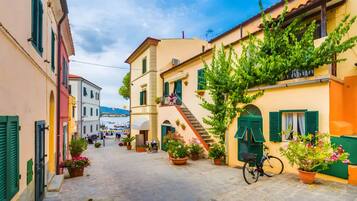 A narrow cobblestone street lined with colorful buildings, a bicycle, and potted plants.
