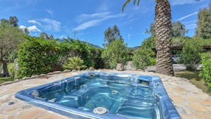 Een jacuzzi in een tuin met een palmboom en verschillende planten.
