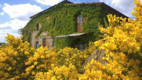 Exterior - Apartment 'Pollaio' with Shared Pool, Private Terrace and Shared Garden (Sorano)