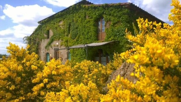 A building with ivy-covered walls and a wooden door. - Apartment 'Pollaio' with Shared Pool, Private Terrace and Shared Garden (Sorano)