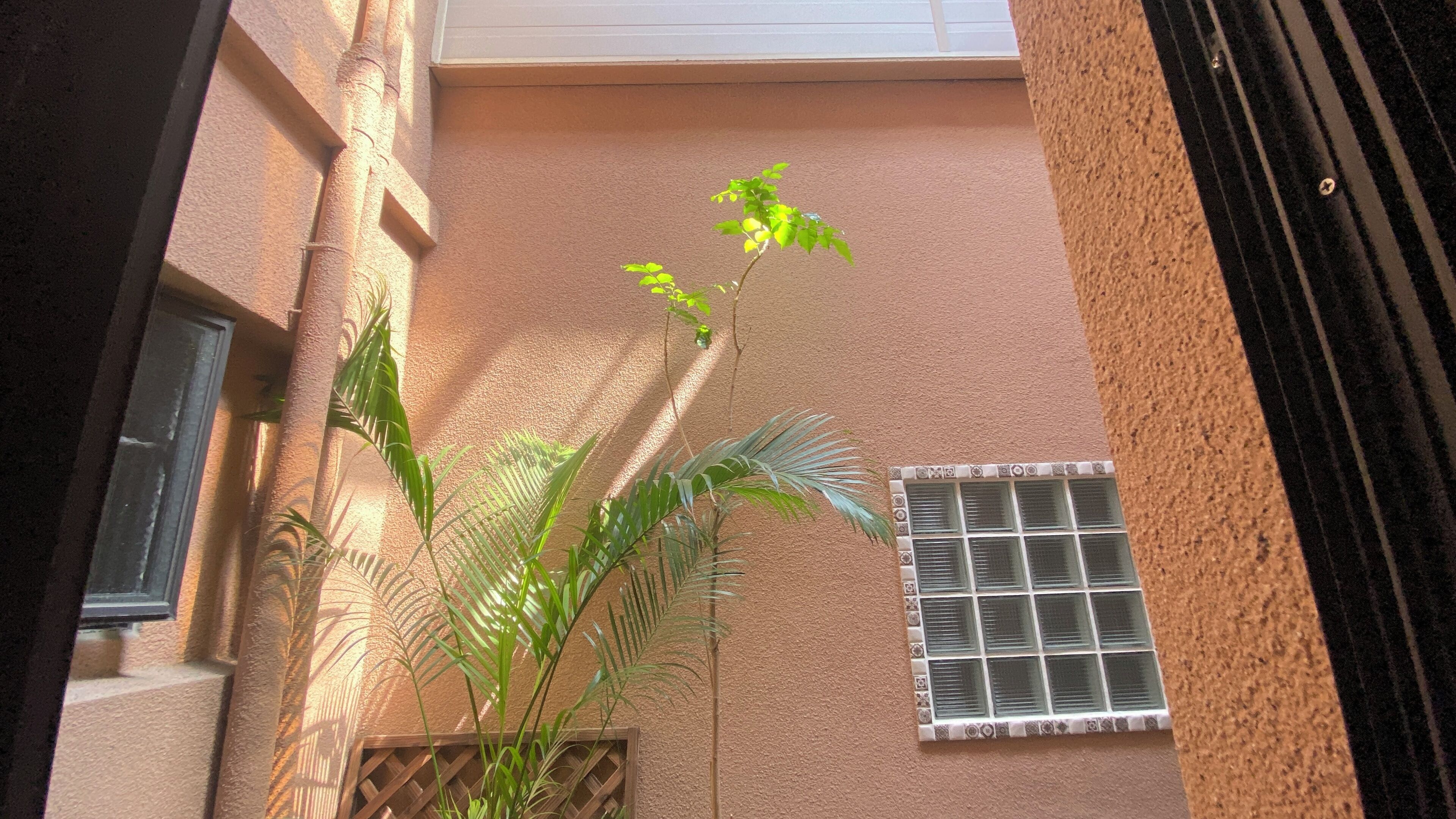 A narrow alleyway with a building featuring a textured wall and a window with a grid pattern.