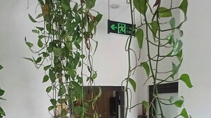 Imagen sin descripción, 2 de 22, botón